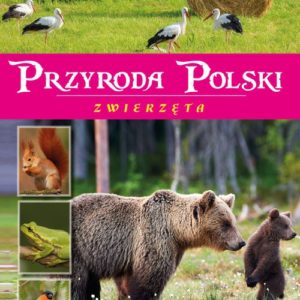 Przyroda Polski. Zwierzęta Żaneta Zając